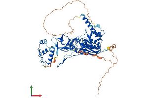 Protein Structure (PS) image for tRNA Methyltransferase 6 Homolog (TRMT6) (AA 1-497) protein (His tag) (ABIN7559280)