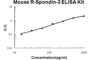 Mouse R-Spondin-3 PicoKine ELISA Kit standard curve (R-Spondin 3 ELISA Kit)