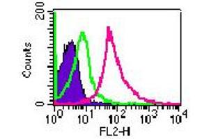 Image no. 2 for anti-Toll-Like Receptor 3 (TLR3) (AA 135-150) antibody (ABIN208623) (TLR3 Antikörper  (AA 135-150))
