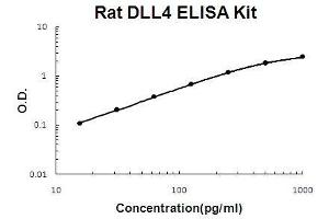 Rat DLL4 PicoKine ELISA Kit standard curve