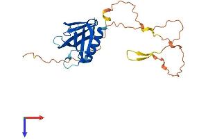 PLEKHB2 Protein (AA 1-222) (His tag)