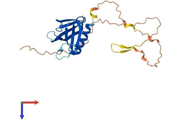 PLEKHB2 Protein (AA 1-222) (His tag)