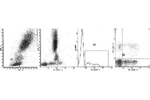 Image no. 1 for Mouse anti-Human Ig (Chain lambda), (Light Chain) antibody (FITC) (ABIN1108011) (Maus anti-Human Ig (Chain lambda), (Light Chain) Antikörper (FITC))