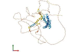 AlphaFold protein structure predicition of Human Recombinant ZNF326 Protein, UniprotID Q5BKZ1 (ZNF326 Protein (AA 1-582) (His tag))