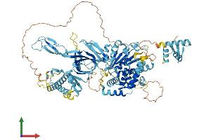 AlphaFold protein structure predicition of Human Recombinant MCM8 Protein, UniprotID Q9UJA3
