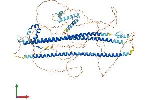 Protein Structure (PS) image for DAZ Interacting Protein 1 (DZIP1) (AA 1-852) protein (His tag) (ABIN7558762)