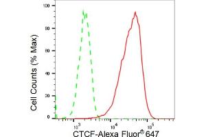 Flow cytometric analysis of CTCF expression in C2C12 cells using CTCF antibody (ABIN7797950), 1:2,000). (Rekombinanter CTCF Antikörper)