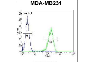 Flow cytometric analysis of MDA-MB231 cells (right histogram) compared to a negative control cell (left histogram). (14-3-3 zeta Antikörper  (AA 65-93))