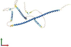 Protein Structure (PS) image for G Kinase Anchoring Protein 1 (GKAP1) (AA 1-366) protein (His tag) (ABIN7561701)