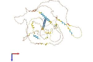 CRTC1 Protein (AA 1-634) (His tag)