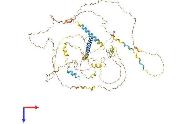 CRTC1 Protein (AA 1-634) (His tag)