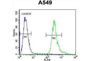 Flow cytometric analysis of A549 cells using LRRC6 Antibody (Center) Cat. (LRRC6 Antikörper  (Middle Region))