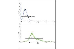 CSF1R Antibody (ABIN652364 and ABIN2841700) flow cytometric analysis of k562 cells (bottom histogram) compared to a negative control (top histogram). (CSF1R Antikörper)