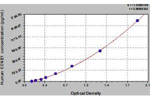 Typical Standard Curve (Cyclin E1 ELISA Kit)