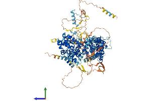 Protein Structure (PS) image for Retinoblastoma-Like 1 (p107) (RBL1) (AA 1-1063) protein (His tag) (ABIN7563994)