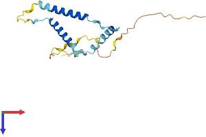 GPSM3 Protein (AA 1-159) (His tag)