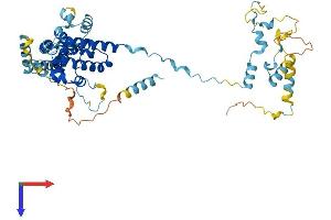 PRPF31 Protein (AA 1-499) (His tag)