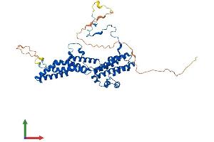 Protein Structure (PS) image for Bestrophin 4 (BEST4) (AA 1-473) protein (His tag) (ABIN7552761)