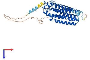Adiponectin Receptor 1 Protein (ADIPOR1) (AA 1-375) (His tag)