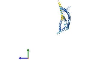 Protein Structure (PS) image for HAUS Augmin-Like Complex, Subunit 1 (HAUS1) (AA 1-278) protein (His tag) (ABIN7548259)