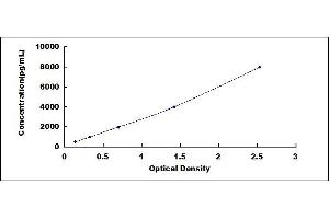 HLA-DRB1 ELISA Kit