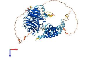 KATNB1 Protein (AA 1-655) (His tag)