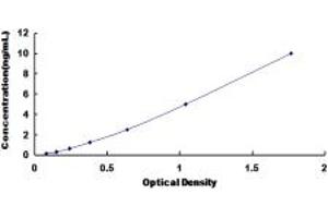 Gastrokine 1 ELISA Kit