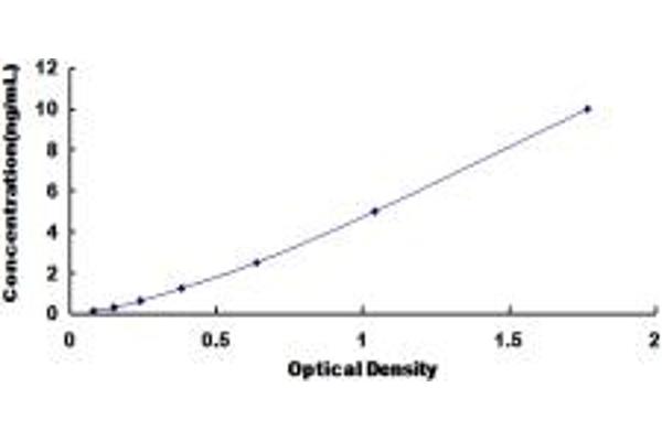 Gastrokine 1 ELISA Kit