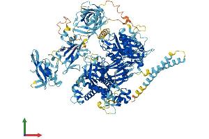 Protein Structure (PS) image for Phospholipase C gamma 2 (PLCG2) (AA 1-1265) protein (His tag) (ABIN7555009)
