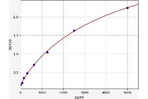 CD300LB ELISA Kit