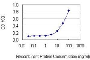 Detection limit for recombinant GST tagged LPIN1 is 1 ng/ml as a capture antibody. (Lipin 1 Antikörper  (AA 792-890))