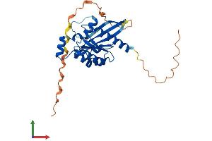 Protein Structure (PS) image for Ras Homolog Gene Family, Member U (RHOU) (AA 1-261) protein (His tag) (ABIN7561413)