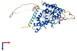 CHST8 Protein (AA 1-424) (His tag)