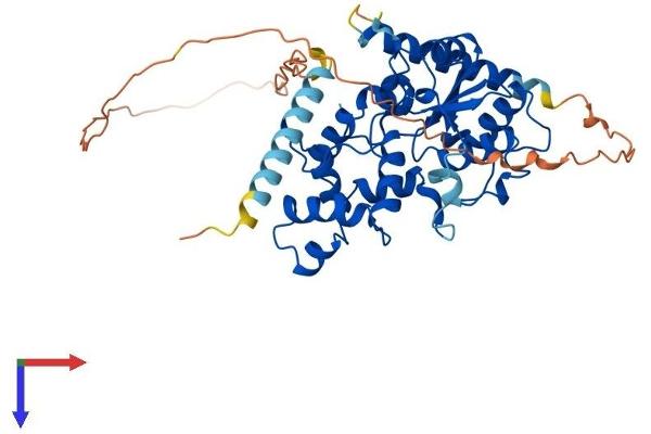 CHST8 Protein (AA 1-424) (His tag)