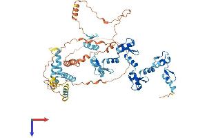 ZNF192 Protein (AA 1-578) (His tag)