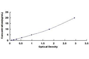 Histone Deacetylase 5 (HDAC5) ELISA Kit