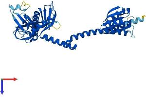 AARSD1 Protein (AA 1-412) (His tag)