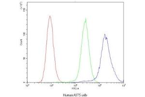 Flow cytometry testing of human A375 cells with ABCB4 antibody at 1ug/10^6 cells (blocked with goat sera)