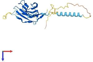 NICN1 Protein (AA 1-213) (His tag)