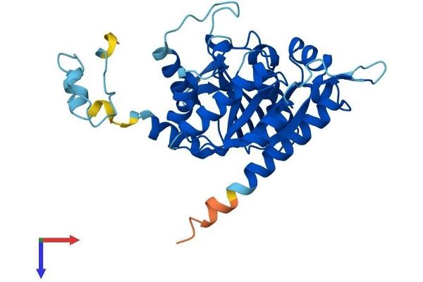 NUBP1 Protein (AA 1-320) (His tag)