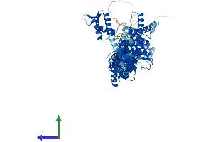 Protein Structure (PS) image for Cullin 1 (CUL1) (AA 1-776) protein (His tag) (ABIN7553606)