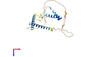 GEMIN8 Protein (AA 1-238) (His tag)