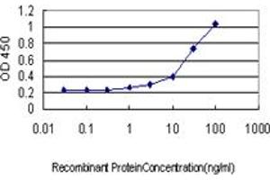 ELISA image for anti-Leucine Rich Repeat (In FLII) Interacting Protein 1 (LRRFIP1) (AA 675-784) antibody (ABIN563976)