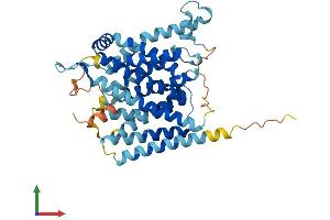 AlphaFold protein structure predicition of Human Recombinant SLC35B2 Protein, UniprotID Q8TB61 (SLC35B2 Protein (AA 1-432) (His tag))
