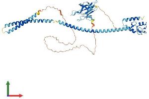 Protein Structure (PS) image for Ring Finger Protein 8 (RNF8) (AA 1-488) protein (His tag) (ABIN7564723)