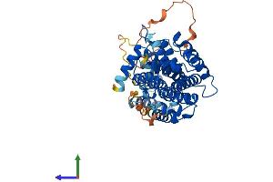 AlphaFold protein structure predicition of Mouse Recombinant Rasgef1c Protein, UniprotID Q9D300 (RASGEF1C Protein (AA 1-466) (His tag))