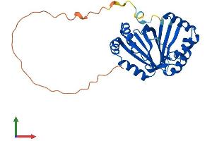 AlphaFold protein structure predicition of Mouse Recombinant Nipsnap2 Protein, UniprotID O55126