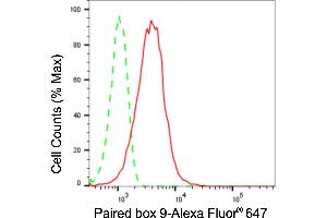 Flow cytometric analysis of Paired box 9 expression in HepG2 cells using Paired box 9 antibody (ABIN7799727), 1:2,000). (Rekombinanter PAX9 Antikörper)