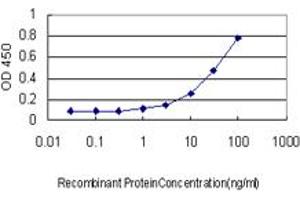 ELISA image for anti-IQ Motif Containing GTPase Activating Protein 1 (IQGAP1) (AA 611-711) antibody (ABIN599072) (IQGAP1 Antikörper  (AA 611-711))