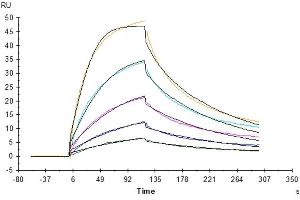 Surface Plasmon Resonance (SPR) image for Epithelial Cell Adhesion Molecule (EPCAM) (AA 24-265) protein (His tag) (ABIN7274023)